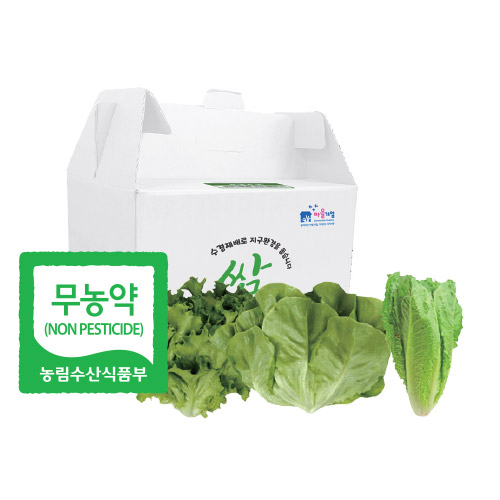 행복한쌈 무농약 로메인 1kg