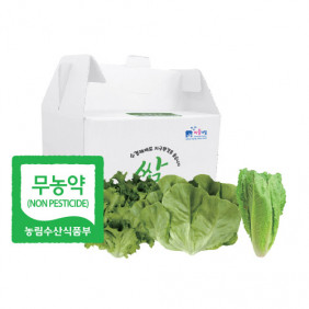 행복한쌈 무농약 로메인 1kg