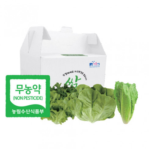 행복한쌈 무농약 로메인 500g